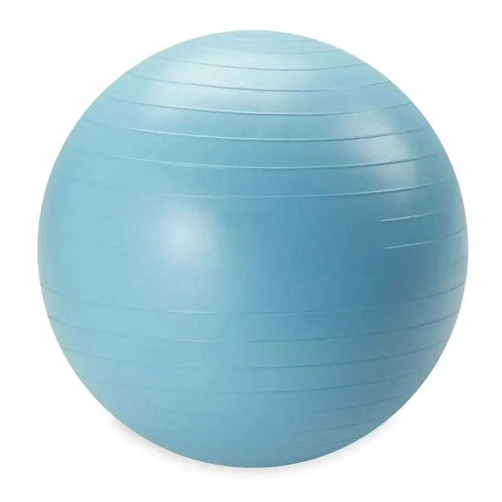 Weighted Stability Ball With Pump For Core Balance Training
