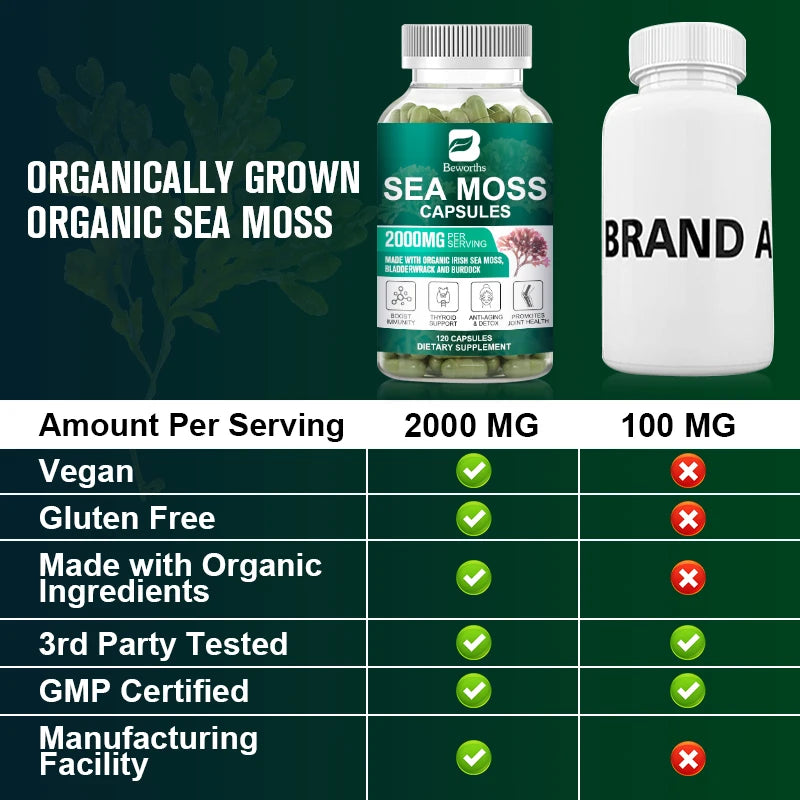 Beworths Organic Sea Moss Pill For Immune Support And Thyroid Health