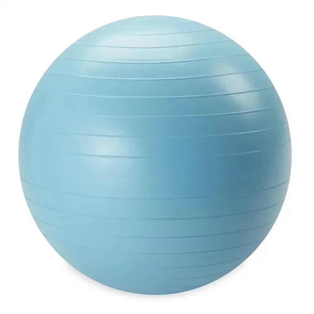 Weighted Stability Ball With Pump For Core Balance Training