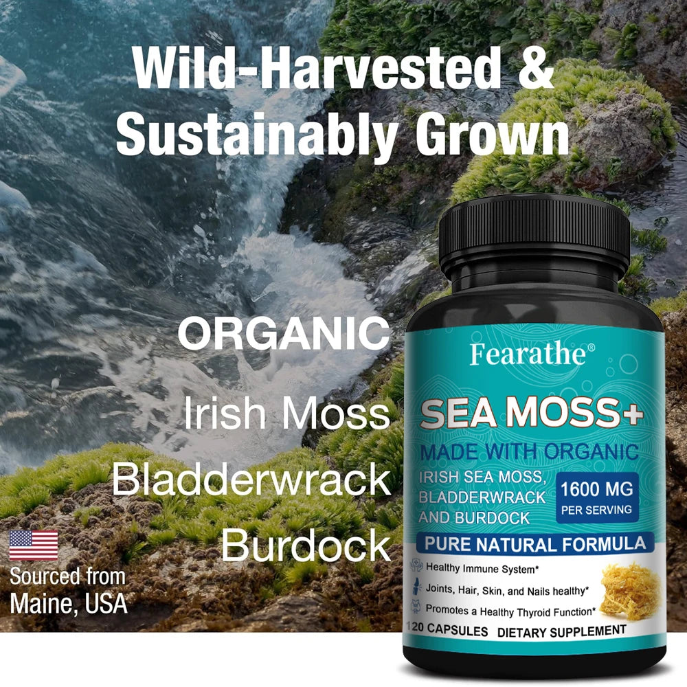 Fearathe Charge Sea Moss Capsules 1600mg With Burdock Bladderwrack For Thyroid